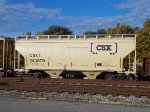 CSX 243679